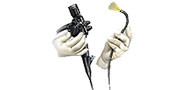 Flexible Endoscopy